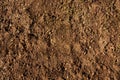 Soil with new grass seeds, brown gound texture bg