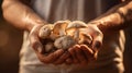 soil organic champignon mushroom Royalty Free Stock Photo