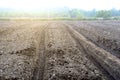 Soil with parallel rows of dirt ready for planting.