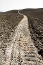 Soil path