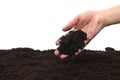 Soil is pouring from a woman`s hand. Royalty Free Stock Photo