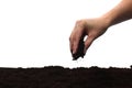Soil is pouring from a woman`s hand. Royalty Free Stock Photo