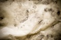 Soil powder on Recycle Wrinkled paper texture,eco Royalty Free Stock Photo