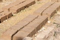 Soil preparation for bricks