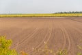 Soil prepared for planting and in the background a dryland rice plantation