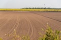 Soil prepared for planting and in the background a dryland rice plantation