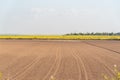 Soil prepared for planting and in the background a dryland rice plantation