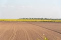 Soil prepared for planting and in the background a dryland rice plantation