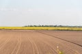 Soil prepared for planting and in the background a dryland rice plantation