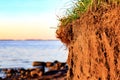 Soil profile of a Cambisol or Inceptisol on a cliff at the Baltic Sea