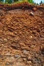 Soil Profile of a Cambisol or Inceptisol near Osnabrueck in Northwestern Germany