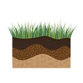 Soil profile with grass Royalty Free Stock Photo