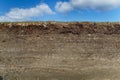 Soil profile in tidal marsh Royalty Free Stock Photo