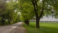 Soil road on the agrarian field, blurred with showers