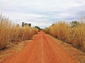 Soil road in countryside