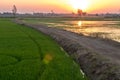 Soil road in rice fields and sunsets Royalty Free Stock Photo