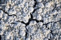 Soil salinity and cracks