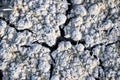 Soil salinity and cracks Royalty Free Stock Photo