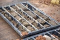 Soil samples in plastic core box Royalty Free Stock Photo