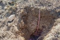 Soil Science Monitoring Pit for identifying soil profile