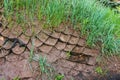 Soil on the slope is strengthened with a volumetric geogrid. Erosion control Royalty Free Stock Photo