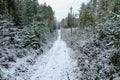 Soil snow road in the forest in winter