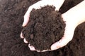 Soil for sowing lies on the female palm. Royalty Free Stock Photo