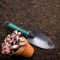 Soil, spade and flower in pot