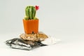 Soil and stone in plastic pack for beginer.Cactus for decoration