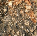Soil and stone after rain texture as background Royalty Free Stock Photo