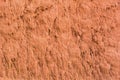 Soil surface texture for background Royalty Free Stock Photo