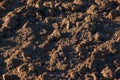 Soil texture background. Fertile soil suitable for planting. Plowed agricultural field, dry land close up Royalty Free Stock Photo