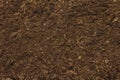 Soil texture background for gardening concept. Cultivated ground, environmental surface