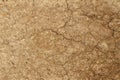 Soil texture background