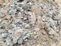 soil texture background white yellow art Royalty Free Stock Photo