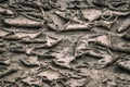 Soil texture with dried twisted mud edges. Climate change, global warming effect Royalty Free Stock Photo