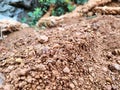 Soil texture near the Kalimantan Kelapa Jetty