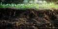 Soil Texture Soil Profile Grass Ground Earth Nature Background Royalty Free Stock Photo