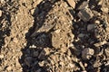 soil that there is in the Priorat, for the plantation of vin