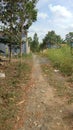 soil tree trail waterway Royalty Free Stock Photo