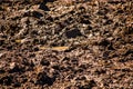 Texture of soil with wet clods of dirt Royalty Free Stock Photo