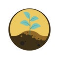 Soil Conservation 3