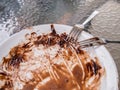 Soiled cake plate and a fork Royalty Free Stock Photo