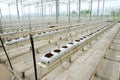 Soilless greenhouse