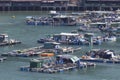 Sok Kwu Wan village on Lamma Island is filled with fish farming rafts to supply fresh seafood to waterfront restaurants.