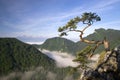 Sokolica Peak in Pieniny, Poland