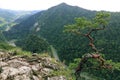 Sokolica, Pieniny Mountains, National Park in Poland Royalty Free Stock Photo