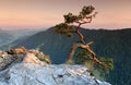 Sokolica in Pieniny Poland