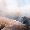 The Sol de la Manana, Rising Sun steaming geyser field high up in a massive crater in Bolivian Altiplano, Bolivia Royalty Free Stock Photo