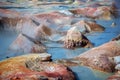 Sol de Manana, geysers and geothermal area in Sur Lipez province, Potosi Bolivia Royalty Free Stock Photo